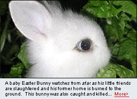 Read the Full Story! >>