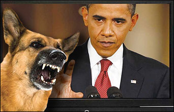 A dog barks at Obama whenever he appears on the family television set