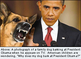 A dog barks at President Obama whenever he comes on TV