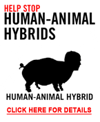 Help Stop Human-Animal Hybrids
