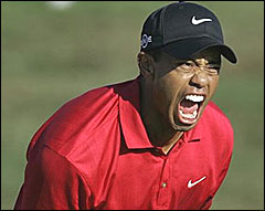 Tiger Woods Has No Shame