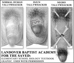 Landover Christian Academy: Tallywhacker Size Comparison Chart - Baptist Biology 101