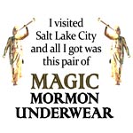 Click to View and Purchase Hilarious Souvenir Magic Mormon Underwear