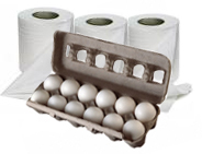 Toilet Paper and Eggs