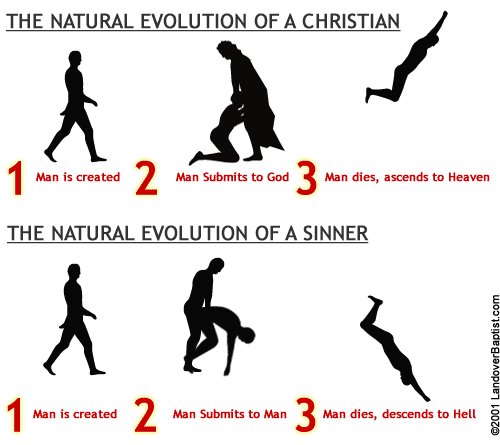 Darwin Evolution Chart