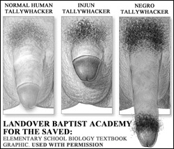 Landover Christian Academy: Tallywhacker Size Comparison Chart - Baptist Biology 101